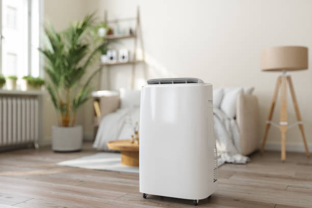 Best HVAC Air Duct Cleaning  in Round Lake, IL